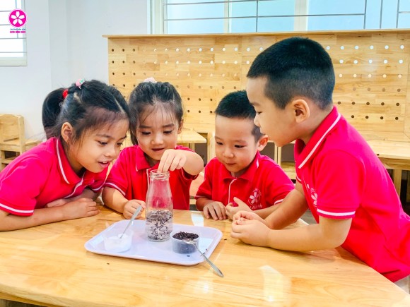 Liên hoan Buffe tại Mầm non Hoa Anh Đào