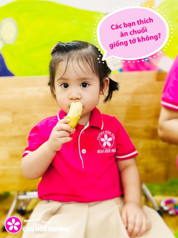 Thực đơn tháng 12 năm 2024